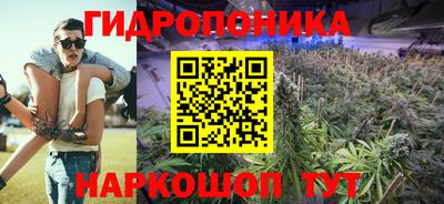 2c-b Обь