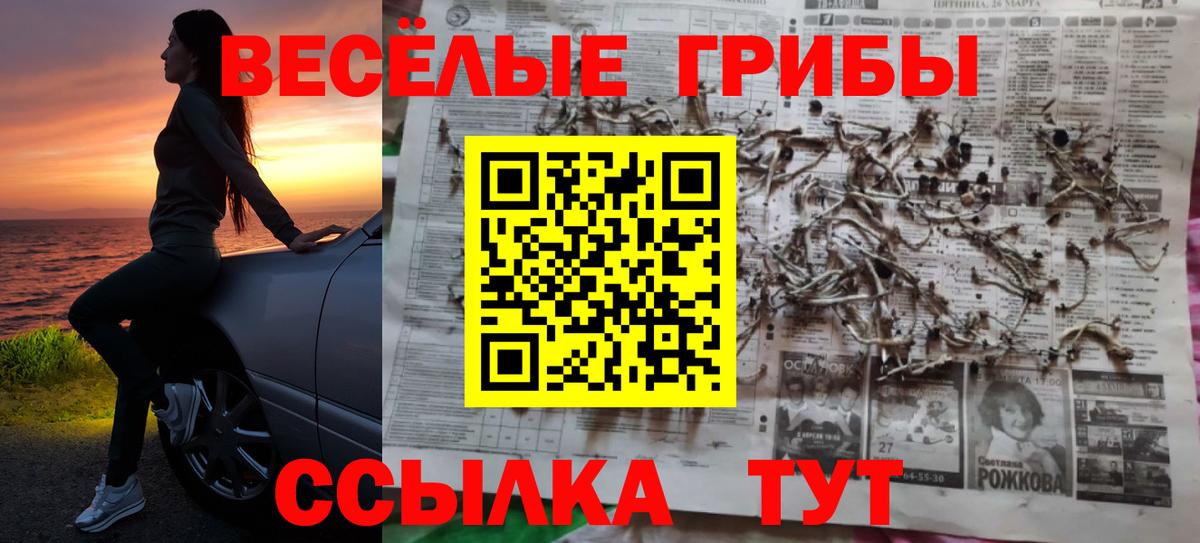 Галлюциногенные грибы MAGIC MUSHROOMS  Вход с VPN  Кизилюрт 